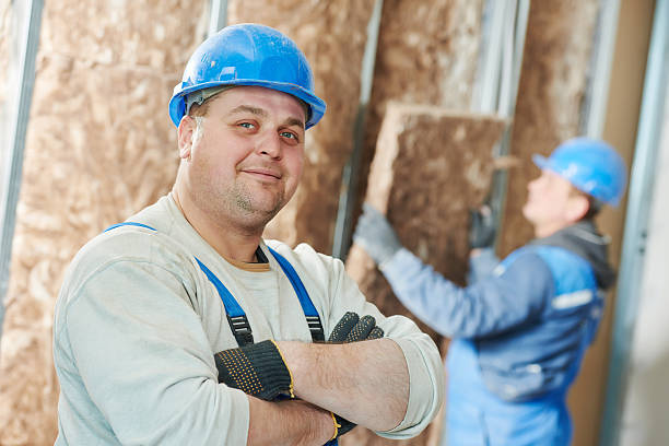 Best Types of Insulation in Spring Grove, MN