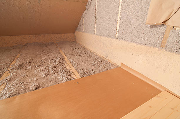 Best Residential Insulation in Spring Grove, MN
